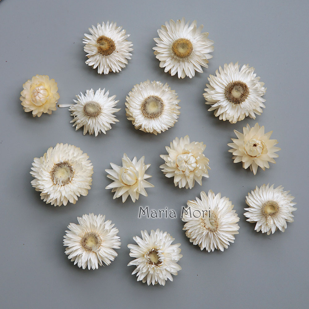 Baby Products In - Natürlicher getrockneter bunter Chrysanthemenkranz, handgefertigter Haarschmuck,